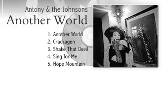 Antony & the Johnsons Another World